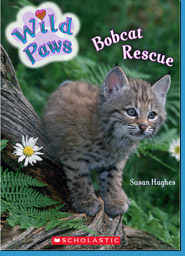 Bobcat Rescue