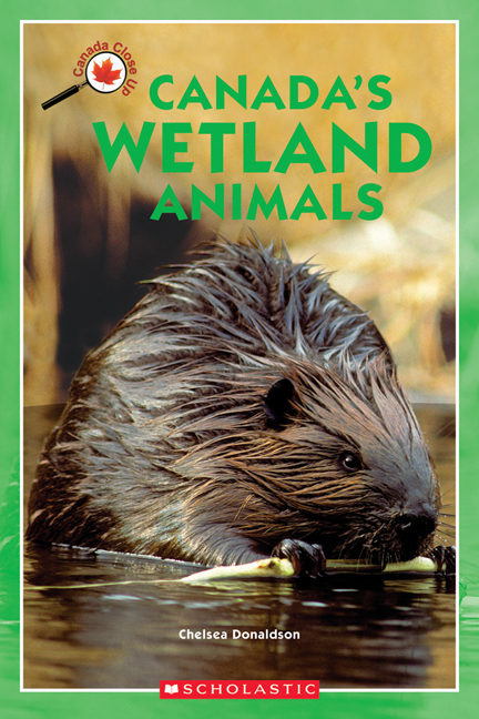 Scholastic Canada | Canada Close Up: Canada's Wetland Animals