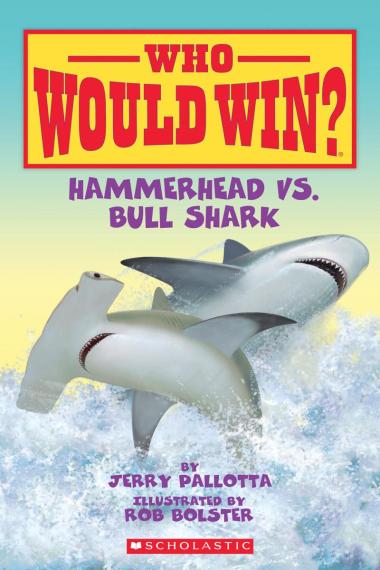 Photo of Hammerhead vs. Bull Shark (Who Would Win?)
