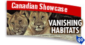 Canadian Showcase